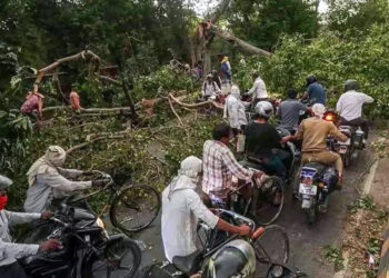 বজ্রঝড় ও ভারি বৃষ্টিতে লণ্ডভণ্ড ভারতের উত্তরপ্রদেশ, নিহত ১০৪