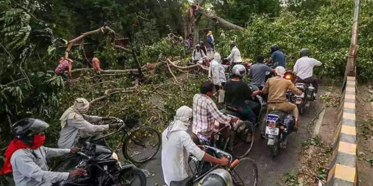 বজ্রঝড় ও ভারি বৃষ্টিতে লণ্ডভণ্ড ভারতের উত্তরপ্রদেশ, নিহত ১০৪