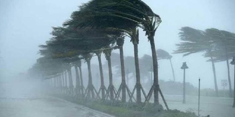 সন্ধ্যার মধ্যে ৭ জেলায় ঝড়ের শঙ্কা, নদীবন্দরে সতর্কতা