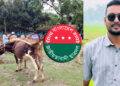 চিলমারী সরকারি কলেজের তালা ভেঙে পশুর হাট বসালেন সাবেক ছাত্রদল নেতা