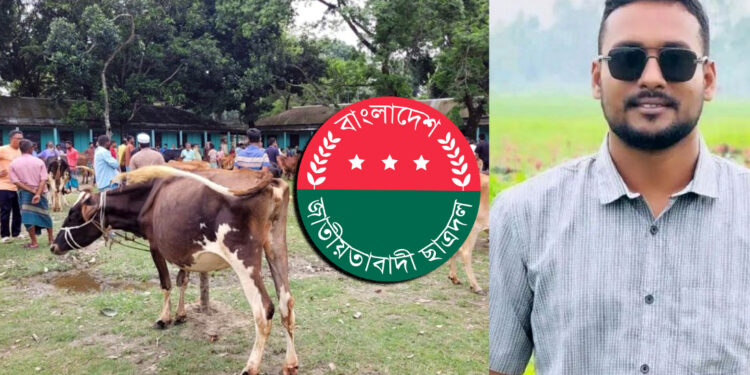 চিলমারী সরকারি কলেজের তালা ভেঙে পশুর হাট বসালেন সাবেক ছাত্রদল নেতা