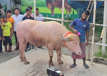 সেই ‘ডোনাল্ড ট্রাম্পকে’ নেয়া হলো চিড়িয়াখানায়
