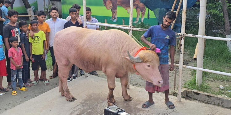 সেই ‘ডোনাল্ড ট্রাম্পকে’ নেয়া হলো চিড়িয়াখানায়