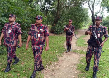 ব্রাহ্মণবাড়িয়ায় অবৈধ পুশইন ও পশুর চামড়া পাচার রোধে সতর্ক অবস্থানে বিজিবি