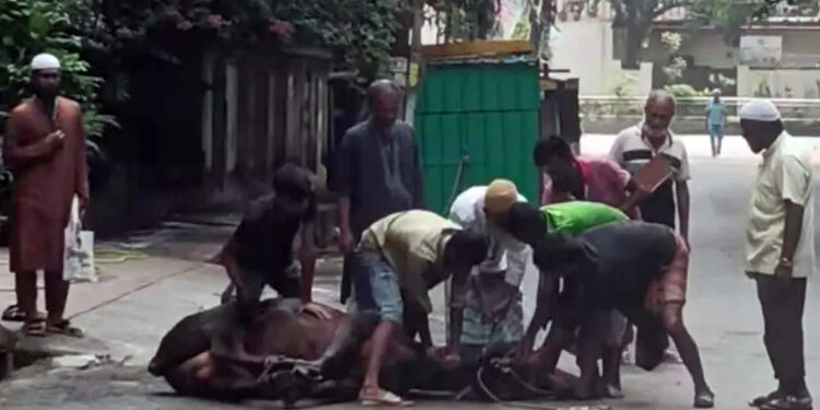 ঢাকায় ঈদের দ্বিতীয় দিনেও চলছে পশু কোরবানি