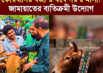 কোরবানির বর্জ্য ব্যবস্থাপনায় জামায়াতের অভিনব উদ্যোগ, নিয়ে এলো ❝বিশেষ গরুর মালা❞