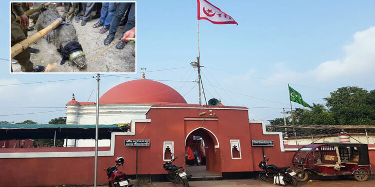 ‘কালা পাহাড়’ ‘ধলা পাহাড়’: একটি ইতিহাসের পরিসমাপ্তি