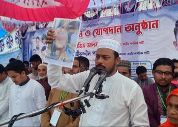 বিএনপি আবারো আওয়ামী লীগের ফাঁদে পড়েছে: নাসীরুদ্দীন পাটওয়ারী