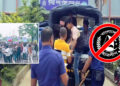 কুমিল্লায় মহাসড়কে ছাত্রলীগের মিছিলে পুলিশের ধাওয়া, আটক ৪৫ জন