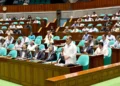 বিরোধী এমপিদের এলাকায় উন্নয়ন তদারকিতে নারীদের দায়িত্ব, ব্যাখ্যা প্রধানমন্ত্রীর