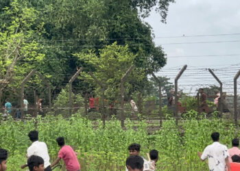 সীমান্তে বাংলাদেশিদের ধাওয়ায় পালাল ভারতীয়রা