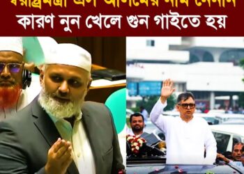 নিন্দুকেরা বলে কাল স্বরাষ্ট্রমন্ত্রী এস আলমের নাম নেননি, কারণ নুন খেলে গুন গাইতে হয়