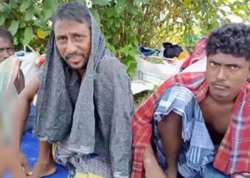 বিজিবির দৃঢ়তায় চার দিন পর ১২ জনকে সীমান্ত থেকে ফেরত নিলো বিএসএফ