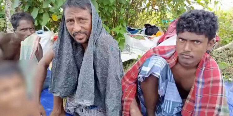 বিজিবির দৃঢ়তায় চার দিন পর ১২ জনকে সীমান্ত থেকে ফেরত নিলো বিএসএফ