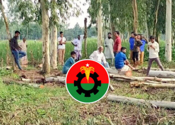 ঠাকুরগাঁওয়ে সরকারি খাস জমির ৩৮টি গাছ কেটে নেয়ার অভিযোগ বিএনপি নেতার বিরুদ্ধে