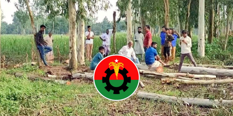 ঠাকুরগাঁওয়ে সরকারি খাস জমির ৩৮টি গাছ কেটে নেয়ার অভিযোগ বিএনপি নেতার বিরুদ্ধে