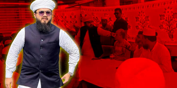 ‘ওই মিয়া চুপ করেন, একেবারে খেয়ে ফেলবো’ বিএনপি নেতাকে এমপি হানজালা