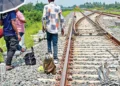 ঢাকা-ভাঙ্গা রেলপথে ঝুঁকিতে ট্রেন চলাচল, বড় দুর্ঘটনার শঙ্কা