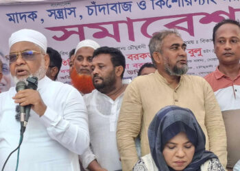 শেখ মুজিব স্বাধীনতা চাননি, পাকিস্তানের মুখ্যমন্ত্রী হতে চেয়েছিলেন: বুলু