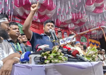 আইনের শাসন প্রতিষ্ঠা করতে না পারলে  জনগণ আবার রাজপথে নেমে আসবে: হাসনাত আবদুল্লাহ