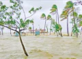দুর্যোগ মোকাবিলায় ইসলামের শিক্ষা