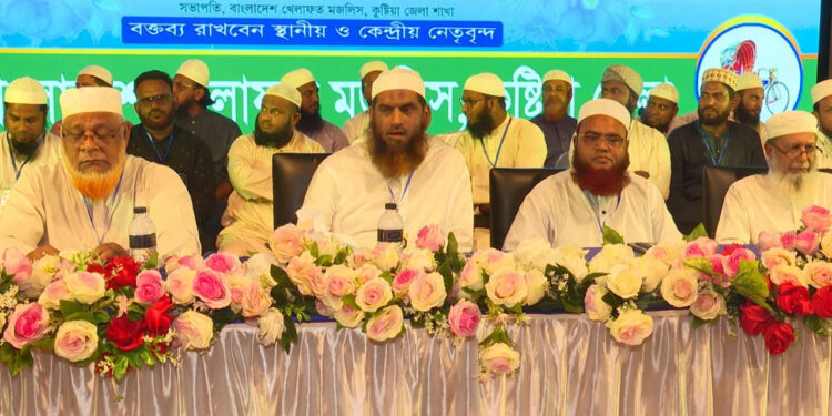 বিএনপি জুলাই সনদ সাক্ষর নিয়ে প্রতারণা করেছেন: মামুনুল হক