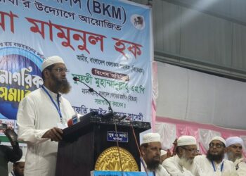 গণভোটের রায় বাস্তবায়ন ছাড়া সংসদ চলতে পারে না: মামুনুল হক