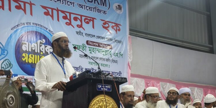 গণভোটের রায় বাস্তবায়ন ছাড়া সংসদ চলতে পারে না: মামুনুল হক