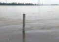 পাহাড়ি ঢল আর টানা ভারি বৃষ্টির কারণে তিস্তার পানি বেড়ে বিপৎসীমার ছুঁই ছুঁই