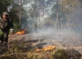 আলজেরিয়ায় দাবানলে ৬ জনের মৃত্যু