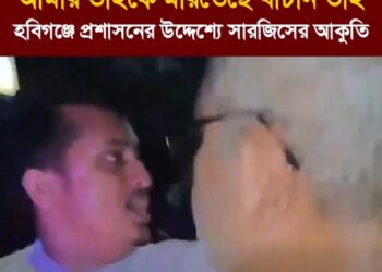 আমার ভাইকে মারতেছে বাচান ভাই