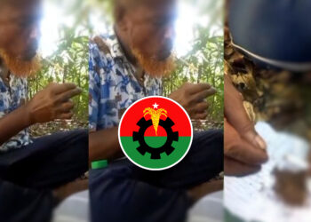 বিএনপি নেতার গাঁজা-ইয়াবা সেবন, ভিডিও ভাইরাল