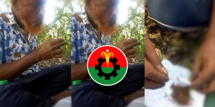 বিএনপি নেতার গাঁজা-ইয়াবা সেবন, ভিডিও ভাইরাল
