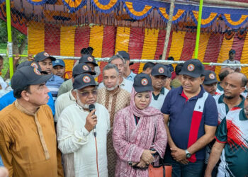 আওয়ামী সাংবাদিক-বুদ্ধিজীবীদের জন্য শেখ হাসিনার পতন হয়েছে: বুলু