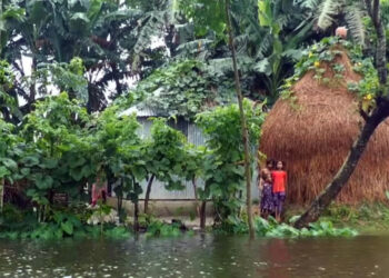 বরাদ্দকৃত ৩০ মেট্রিক টন চাল, একমুঠোও জোটেনি বন্যার্তদের ভাগ্যে