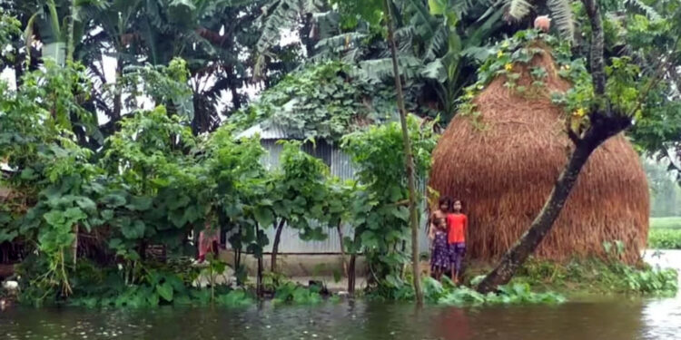 বরাদ্দকৃত ৩০ মেট্রিক টন চাল, একমুঠোও জোটেনি বন্যার্তদের ভাগ্যে