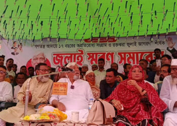 আওয়ামী লীগ আমাদের শত্রু নয়, মিত্র: বিএনপির এমপি নাছির চৌধুরী