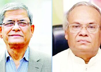 রাষ্ট্রপতি হচ্ছেন মির্জা ফখরুল, বিএনপির মহাসচিব রিজভী