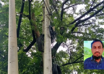 বিদ্যুতের খুঁটি বসানোর নামে কলাপাড়ায় যুবদল নেতার বিরুদ্ধে অর্থ আদায়ের অভিযোগ