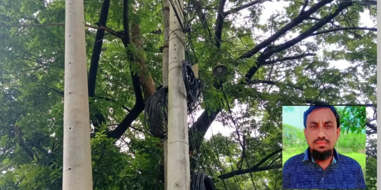বিদ্যুতের খুঁটি বসানোর নামে কলাপাড়ায় যুবদল নেতার বিরুদ্ধে অর্থ আদায়ের অভিযোগ