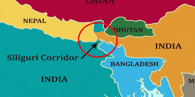 চিকেনস নেকে ভারতের ত্রিকোণীয় নিরাপত্তা গ্রিড