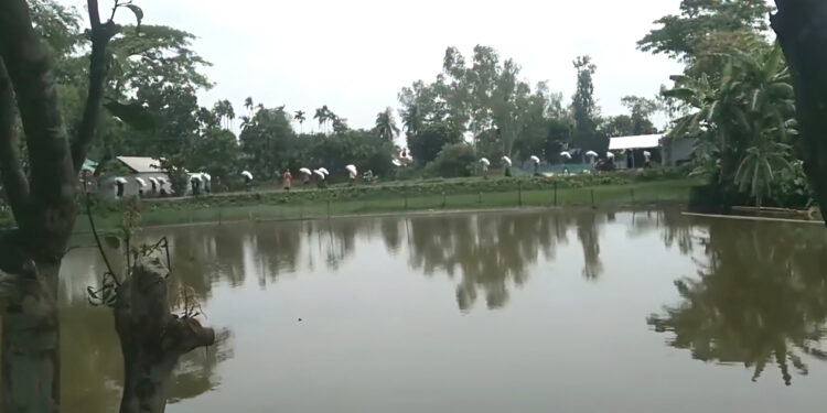 গুদামের দরজা ভেঙে কৃষকেরা নিয়ে গেলেন ১৯৭ বস্তা সার