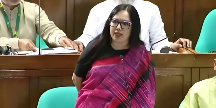 ‘দুষ্টু লোকেরা বলে টুকু আসে-টুকু যায়,’ লোডশেডিং নিয়ে সংসদে রুমিন ফারহানা
