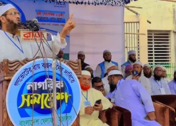 গণভোটের রায় না মানলে সরকারের বৈধতা প্রশ্নবিদ্ধ: মামুনুল হক