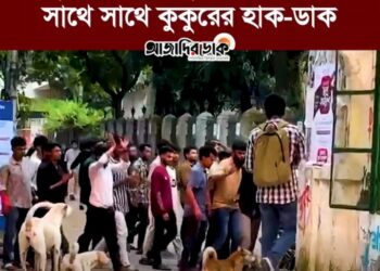 ছাত্রদলের মিছিলের স্লোগানের সাথে সাথে কুকুরের হাক-ডাক