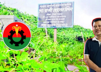 চাঁদার টাকায় বাদাম বিক্রেতা থেকে কোটিপতি—কে এই কৃষক দল নেতা আলমগীর?