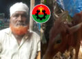 চুরি হওয়া গরু মিলল বিএনপি নেতার গোয়ালঘরে