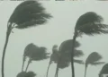 সাগরে লঘুচাপ, ঘূর্ণিঝড়ে রূপ নেওয়ার আশঙ্কা