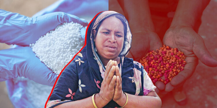 একদিকে সারের বদলে ঢুকছে মাদক, অন্যদিকে সার চাইতে গিয়ে ঘরছাড়া কৃষক