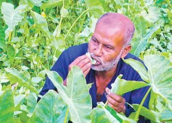 ২৬ বছর ধরে লতাপাতা খেয়েই জীবনযাপন